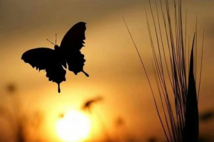 Blog van 15 december 2024