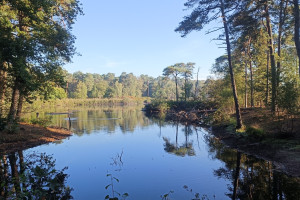 Blog van 28 september 2025